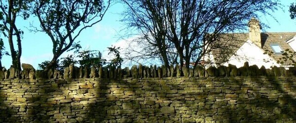 A stone wall with a row of trees and a building in the background.