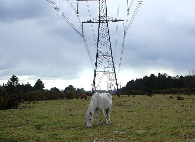 Fawley Inclosure. Looking back towards Hardley this view shows the route of the Solent Way beneath the pylons.