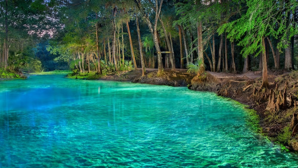 Night Illumination of Citrus Blue Springs (Big Blue Springs) on Withlacoochee River, Florida