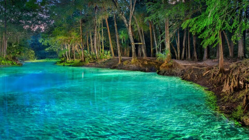 A clear river surrounded by dense forest.