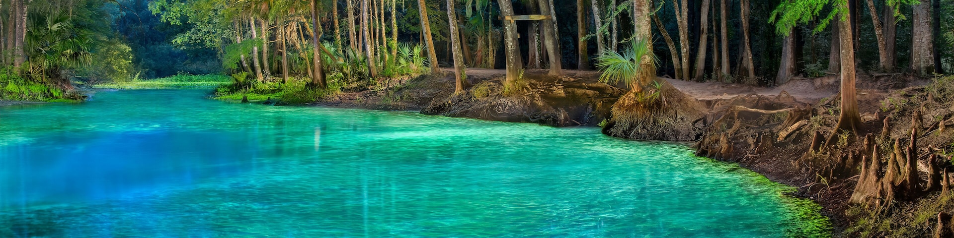 Night Illumination of Citrus Blue Springs (Big Blue Springs) on Withlacoochee River, Florida