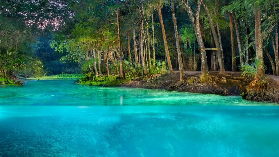 A clear turquoise river surrounded by dense tropical forest.