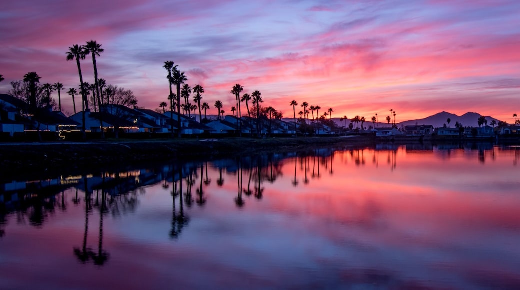 ديسكفري باي