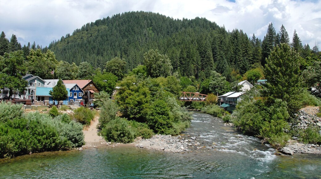 Downieville