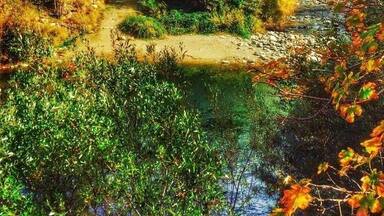 Gold Rush town in Sierra County.
#hwy49