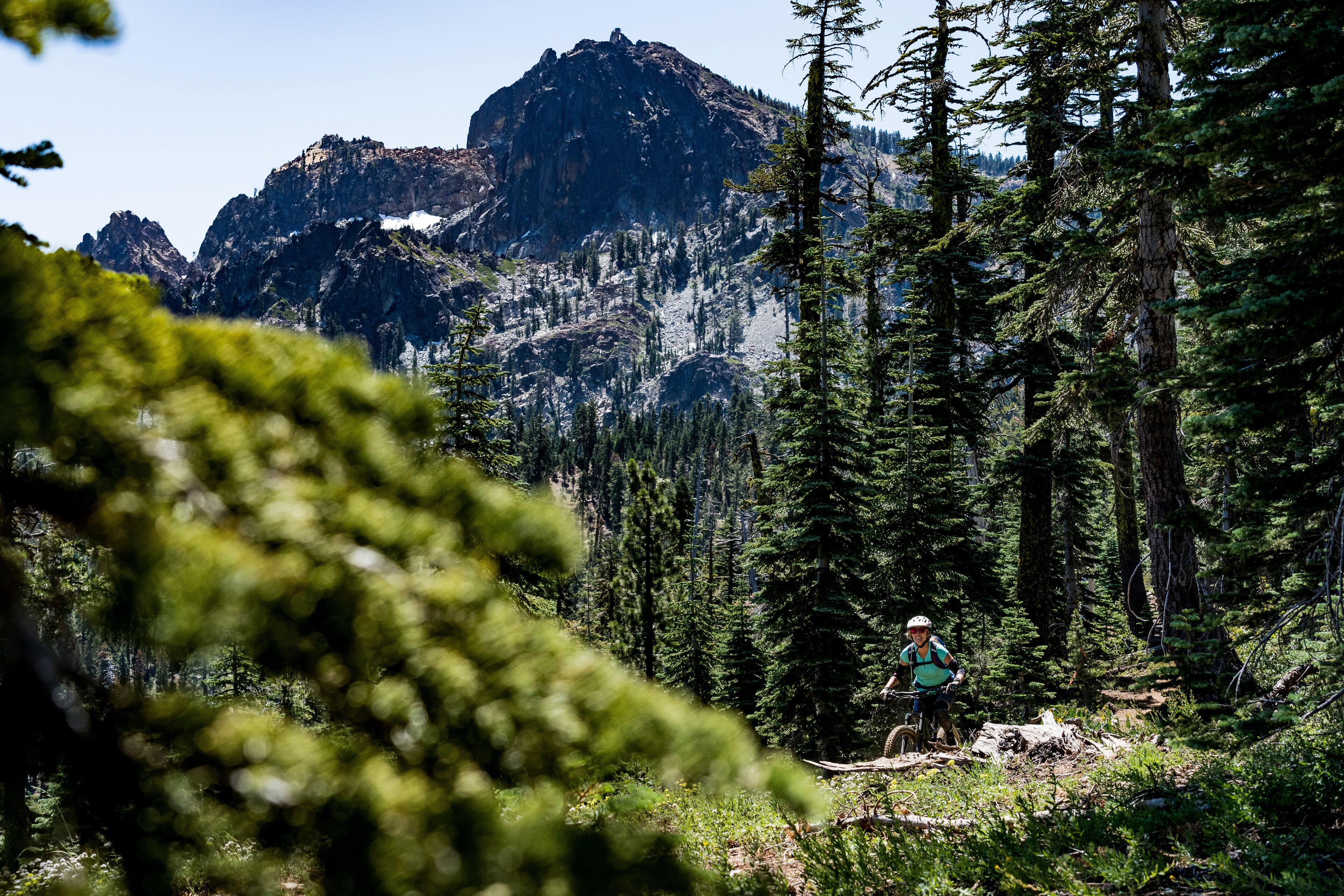 A mountain landscape with dense forest and a hiker in the foreground.