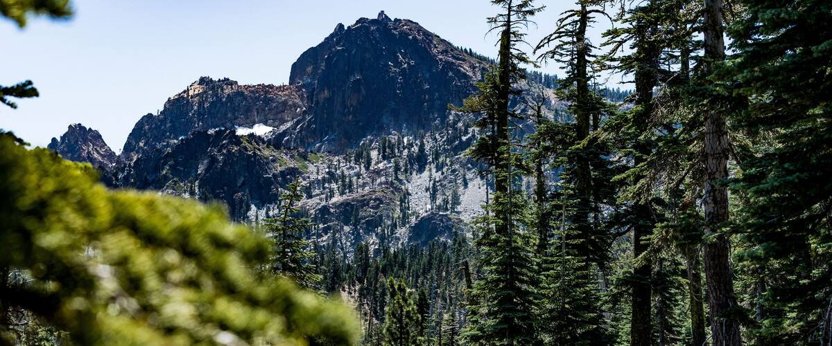 A mountain landscape with dense forest and a hiker in the foreground.