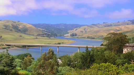 ๋์บ์ค ๋ฐ์ค