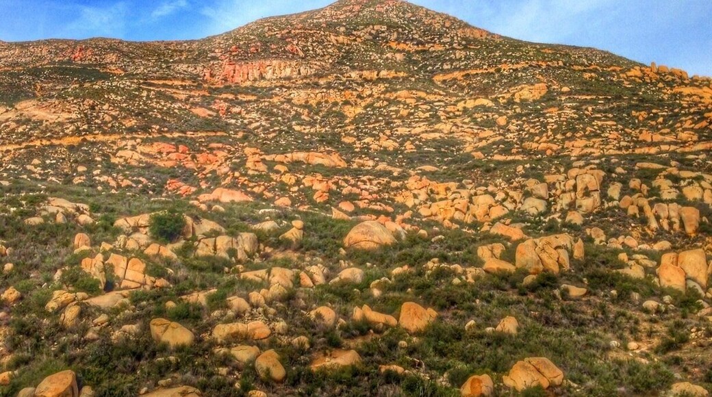 Tecate Peak, literally
