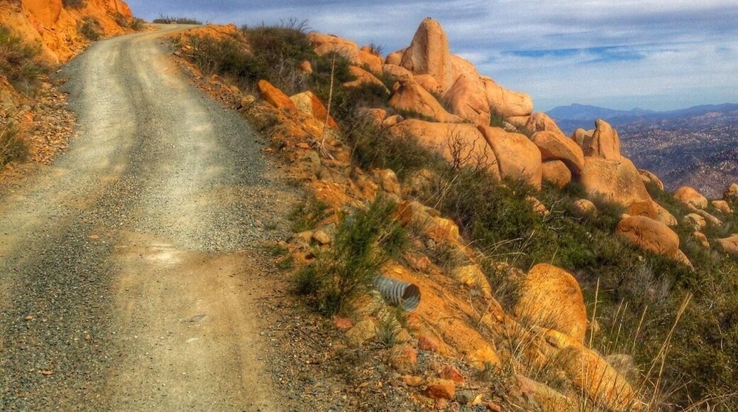 The trail up Tecate peak is actually just a gravel road. It's still hiking though!