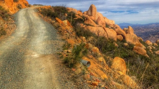 The trail up Tecate peak is actually just a gravel road. It's still hiking though!