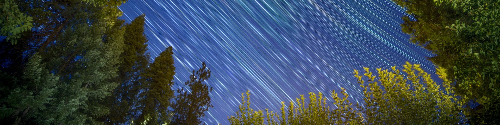 Vibrant Star Trails Above Tahoe National Forest