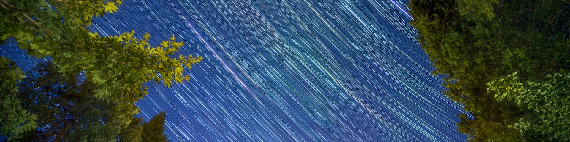 Vibrant Star Trails Above Tahoe National Forest