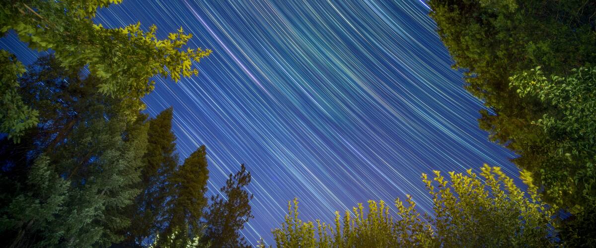 A star trail photograph with a forest in the foreground.