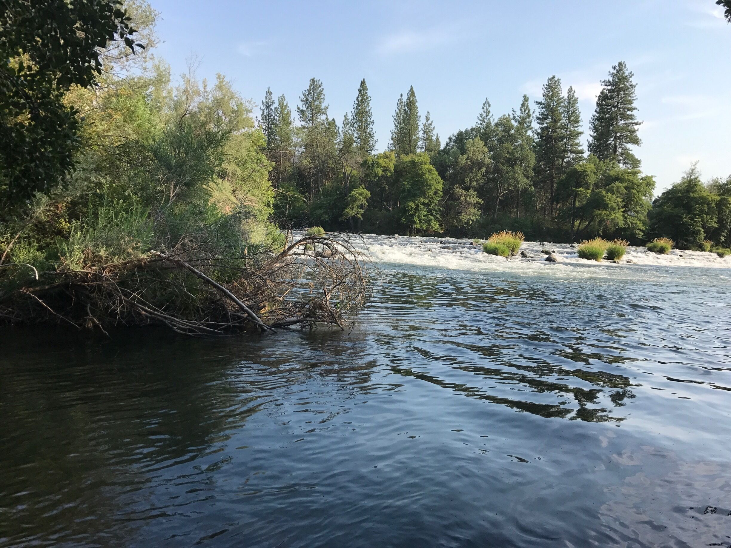 This is the 'put in' just down the road from the lodge 