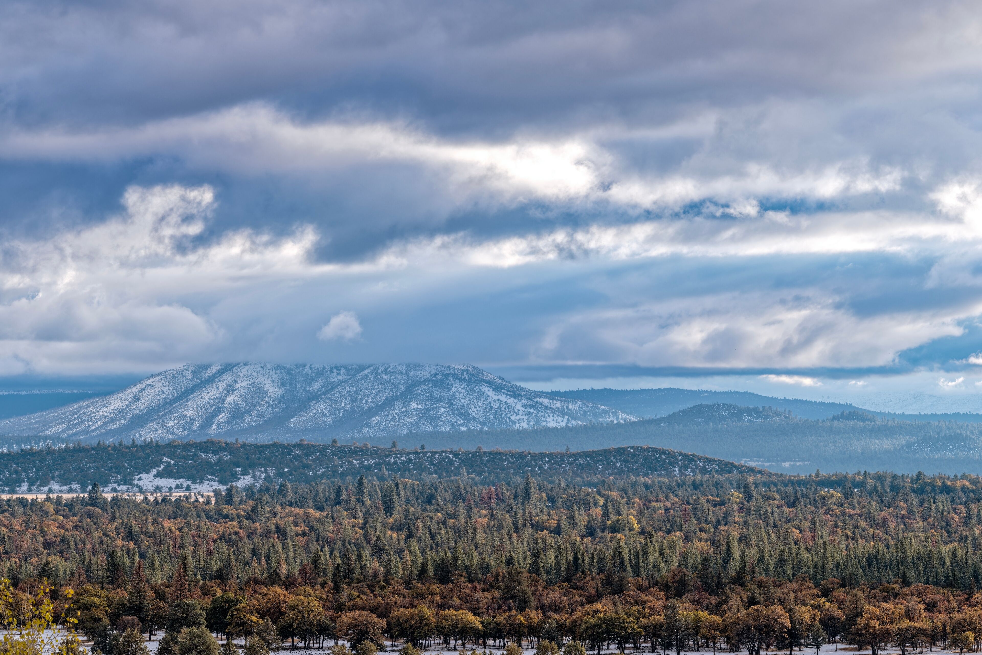Autumn foliage is visible below Widow Mountain, covered in clouds, in Lassen County, California, USA