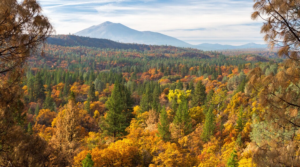 Pit Canyon Autumn - Fall colors grace Pit Canyon, with dormant lava dome Burney Mountain in the background. Fall River Mills, California, USA