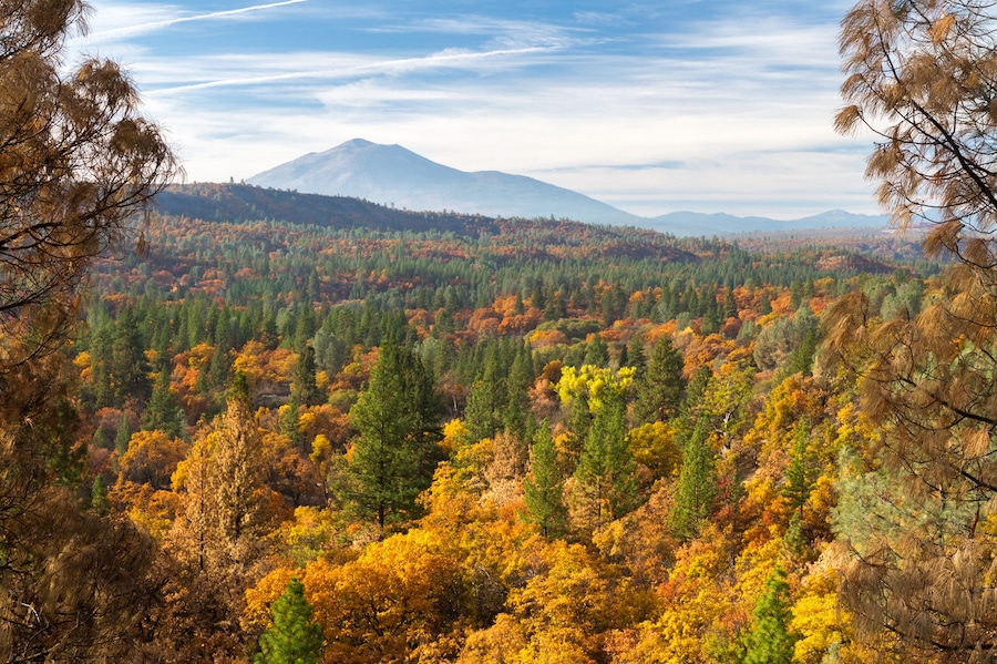 Pit Canyon Autumn - Fall colors grace Pit Canyon, with dormant lava dome Burney Mountain in the background. Fall River Mills, California, USA