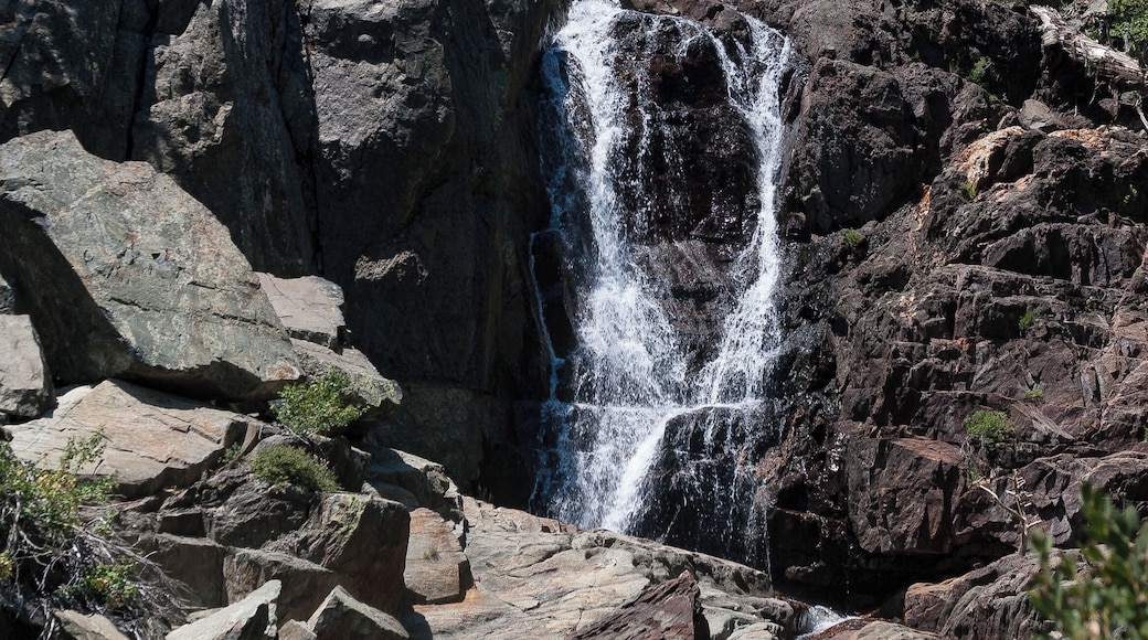 On a wilderness hike near Fallen Leaf and Lake Tahoe.