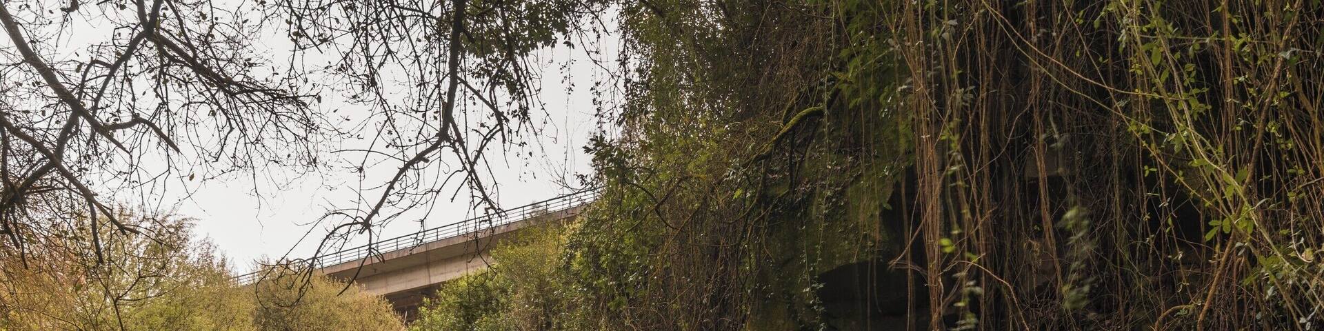 Hidden behind the motorway, there are a series of waterfalls in a small river called Ribeira do Adrião. To get there, you must park close to the water residue treatment station and then cross the river, walk about 300 mts till you start descending. Then you'll found the remains of a old house, there you can go down to the river where you'll found the waterfall.