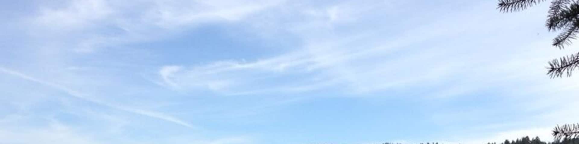 Followed an animal trail and was presented with this view. There's also a cool rope swing.