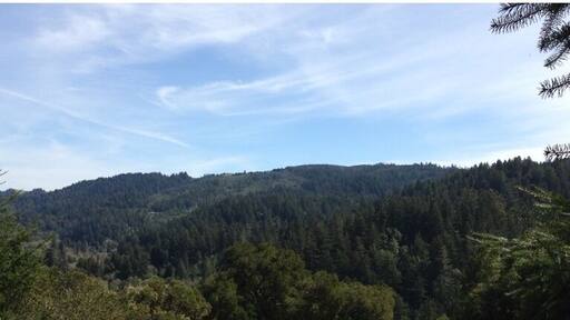 Followed an animal trail and was presented with this view. There's also a cool rope swing.