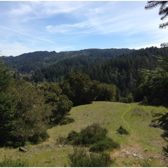 Followed an animal trail and was presented with this view. There's also a cool rope swing.