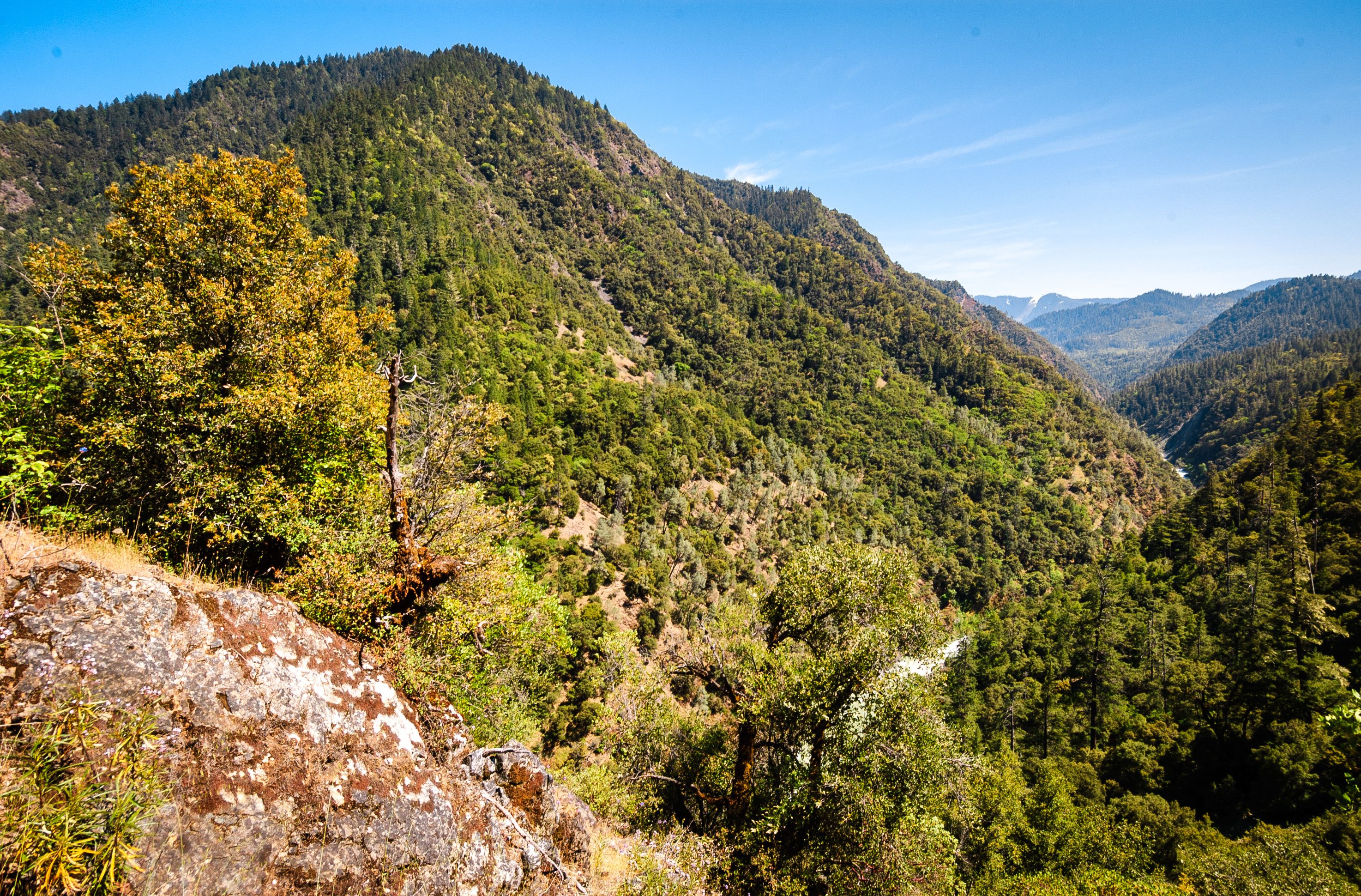 A mountainous landscape with dense forests and a clear sky.
