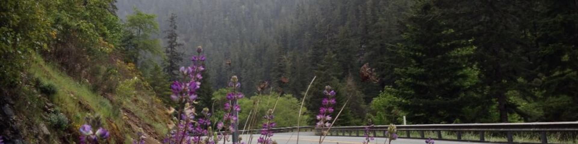 Stunning hills, fog and lupins while waiting for my bike tour mate to catch up.
#troveon
Bike Tour Sky Drama
We're on a 1000 mile, musical bike tour from Bellingham, WA to San Francisco, CA.
Go to facebook.com/bellow.wing.strangely for more info.
#biketour
#bellowwingstrangely