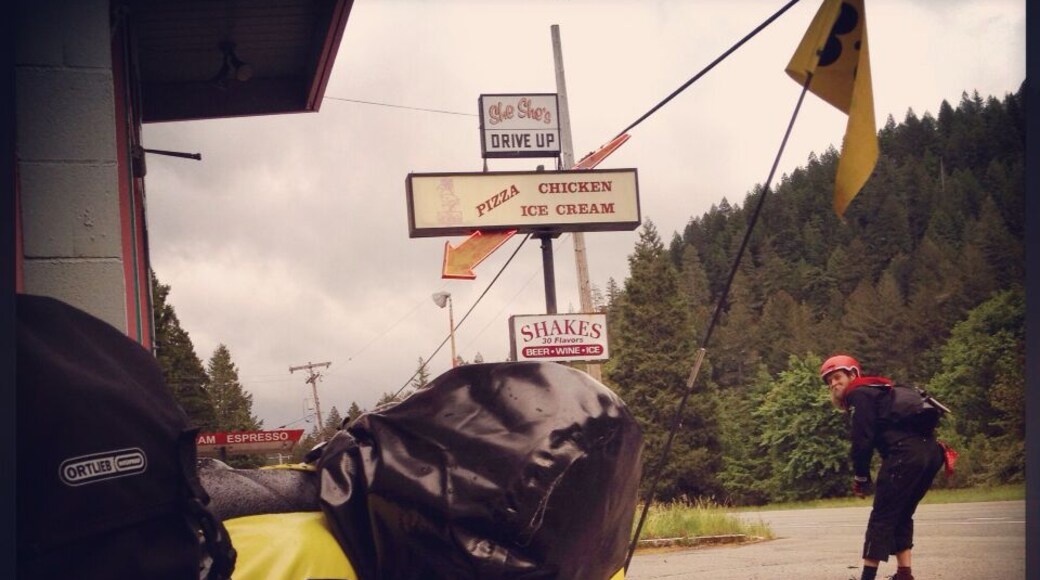 Roadside diner dinner at She She's. Flamingos aplenty inside!
My decked out Bob trailer and tour mate.
We're on a 1000 mile, musical bike tour from Bellingham, WA to San Francisco, CA.
Go to facebook.com/bellow.wing.strangely for more info.
#biketour #bellowwingstrangely #tourbutts #roadtrip #alwaysexplore