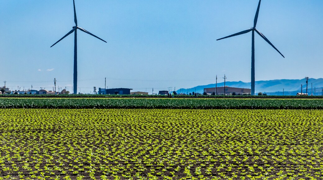 Two wind turbines produce green energy electricity in Gonzales, California., with agricultural crops in the foreground.