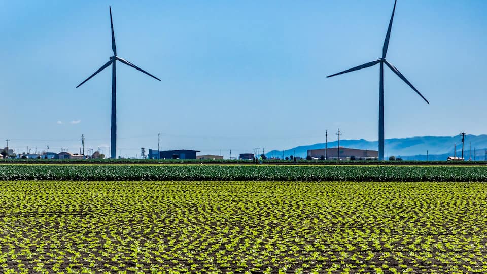 A wind farm with two large wind turbines in a field of crops.