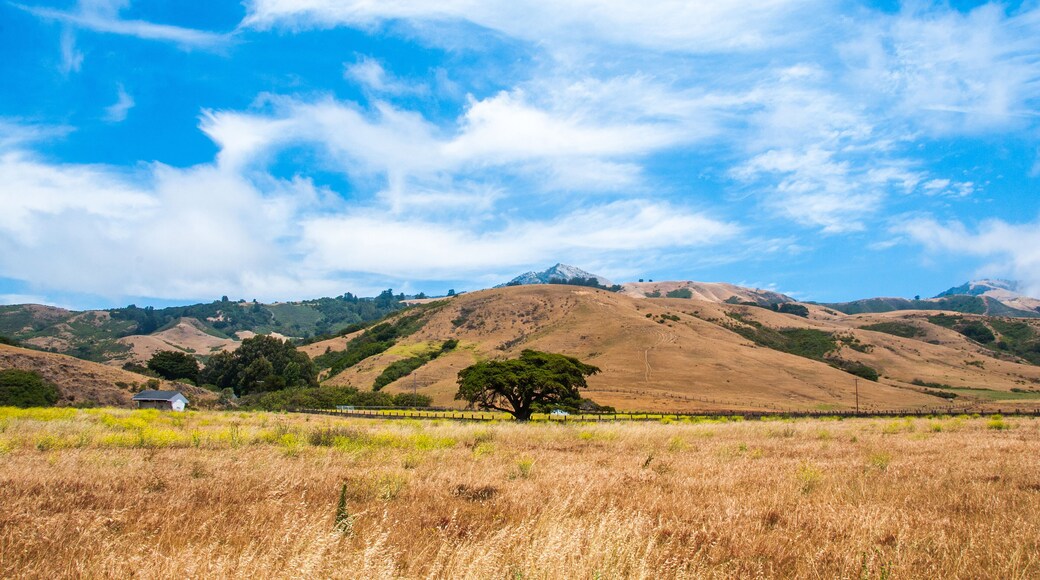 Beautiful View of the California Coastline along State Road 1.