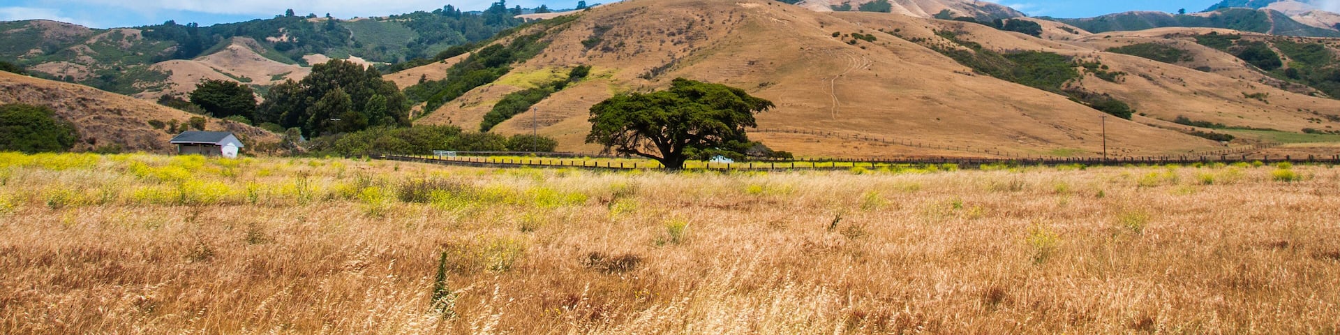 Beautiful View of the California Coastline along State Road 1.
