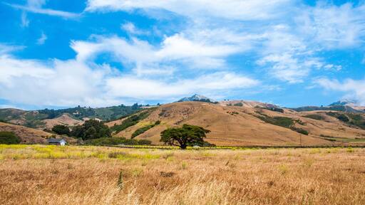 Beautiful View of the California Coastline along State Road 1.
