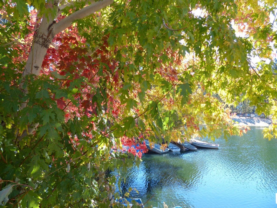 A Trip of Autumn Colors at Green Valley Lake in SoCal on Oct. 11, 2014
#WeekendGetaway #Photo Sweepstakes #GreenValleyLake #FallColor