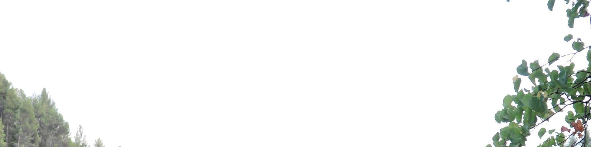 Valle dell'Orta 2013