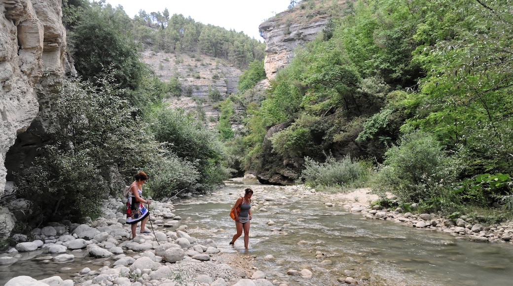 Valle dell'Orta 2013