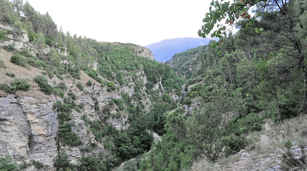 Valle dell'Orta 2013