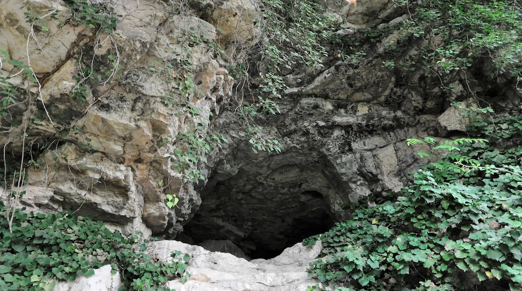 Valle dell'Orta 2013