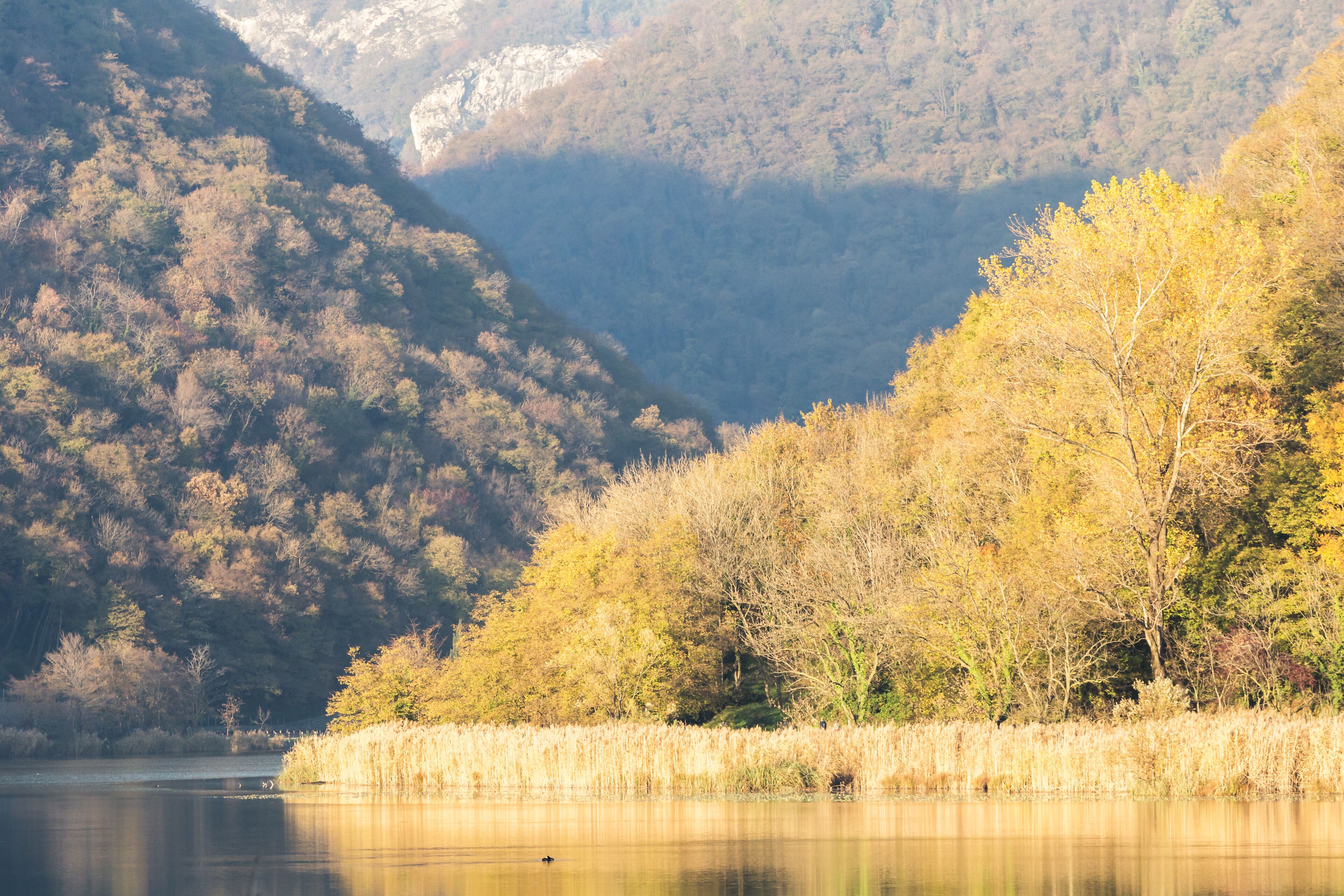 A calm lake surrounded by autumn-colored trees and a mountain in the background.