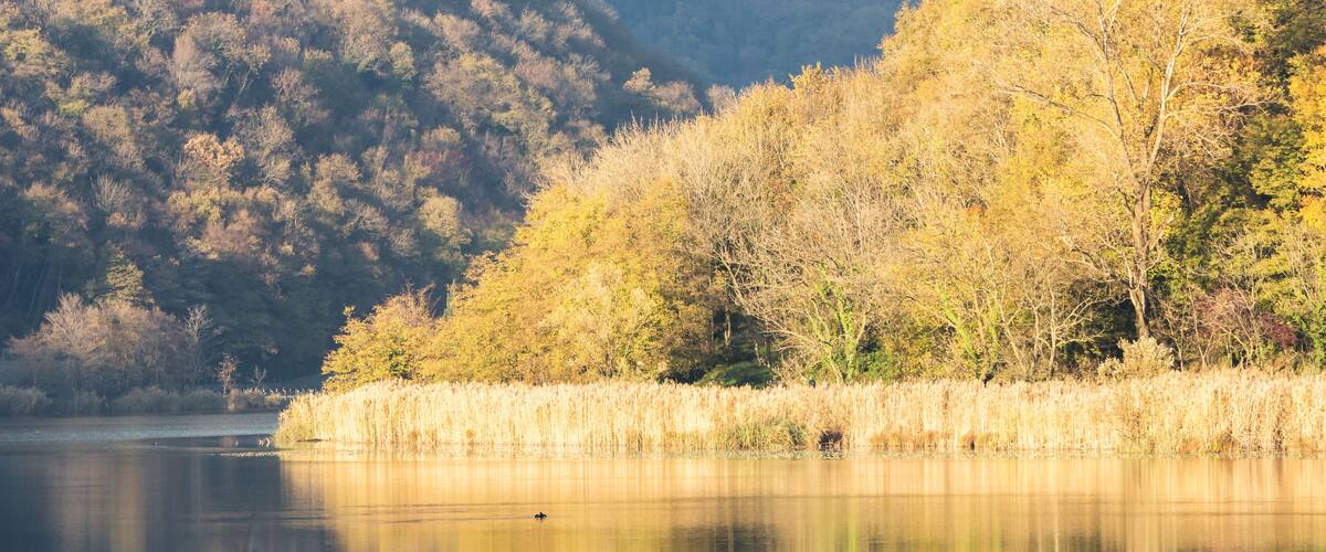 A calm lake surrounded by autumn-colored trees and a mountain in the background.