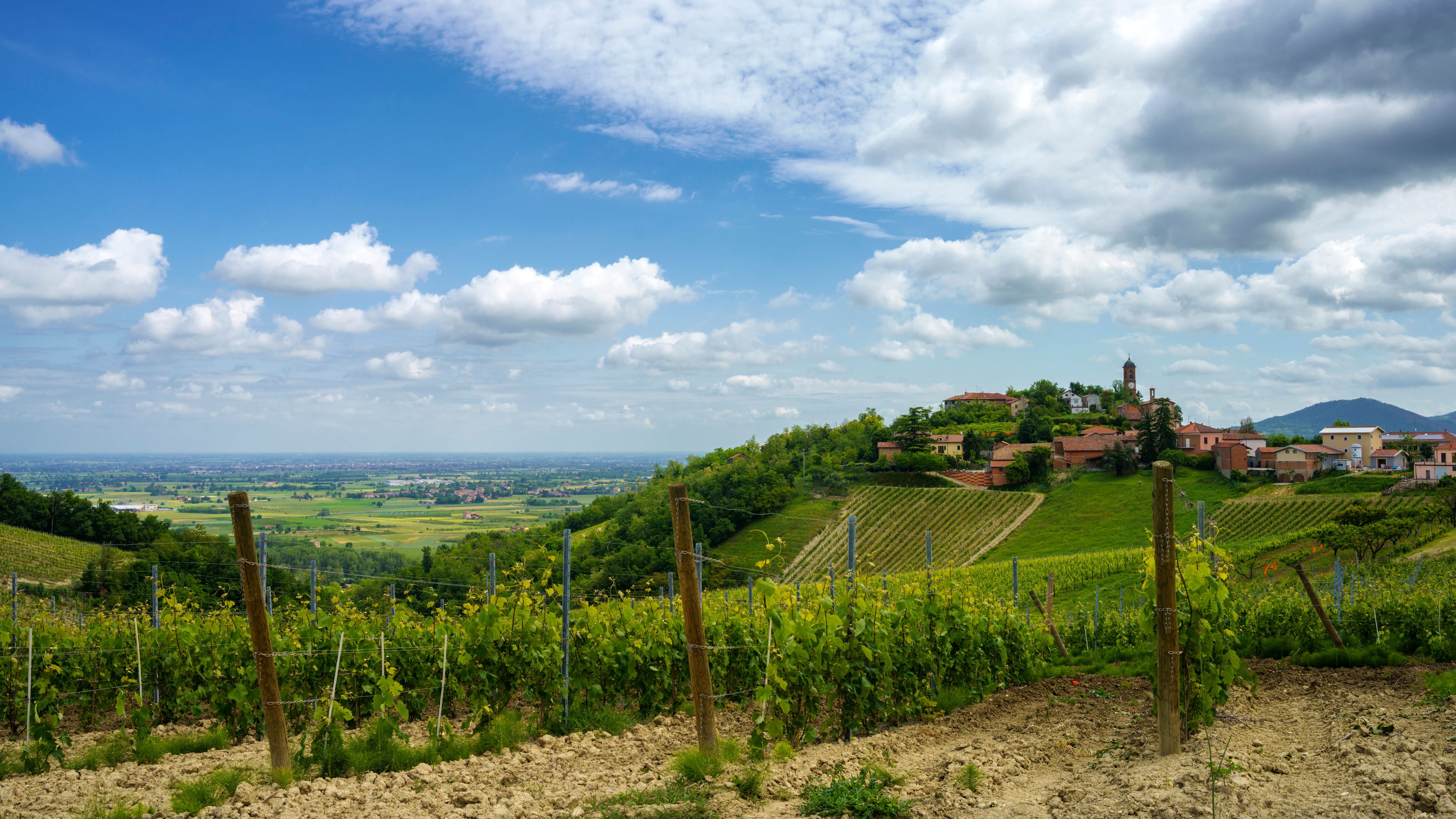 Un vignoble avec des rangées de vignes, un village perché sur une colline avec ses bâtiments, et une vue lointaine d’une vallée sous un ciel partiellement nuageux.