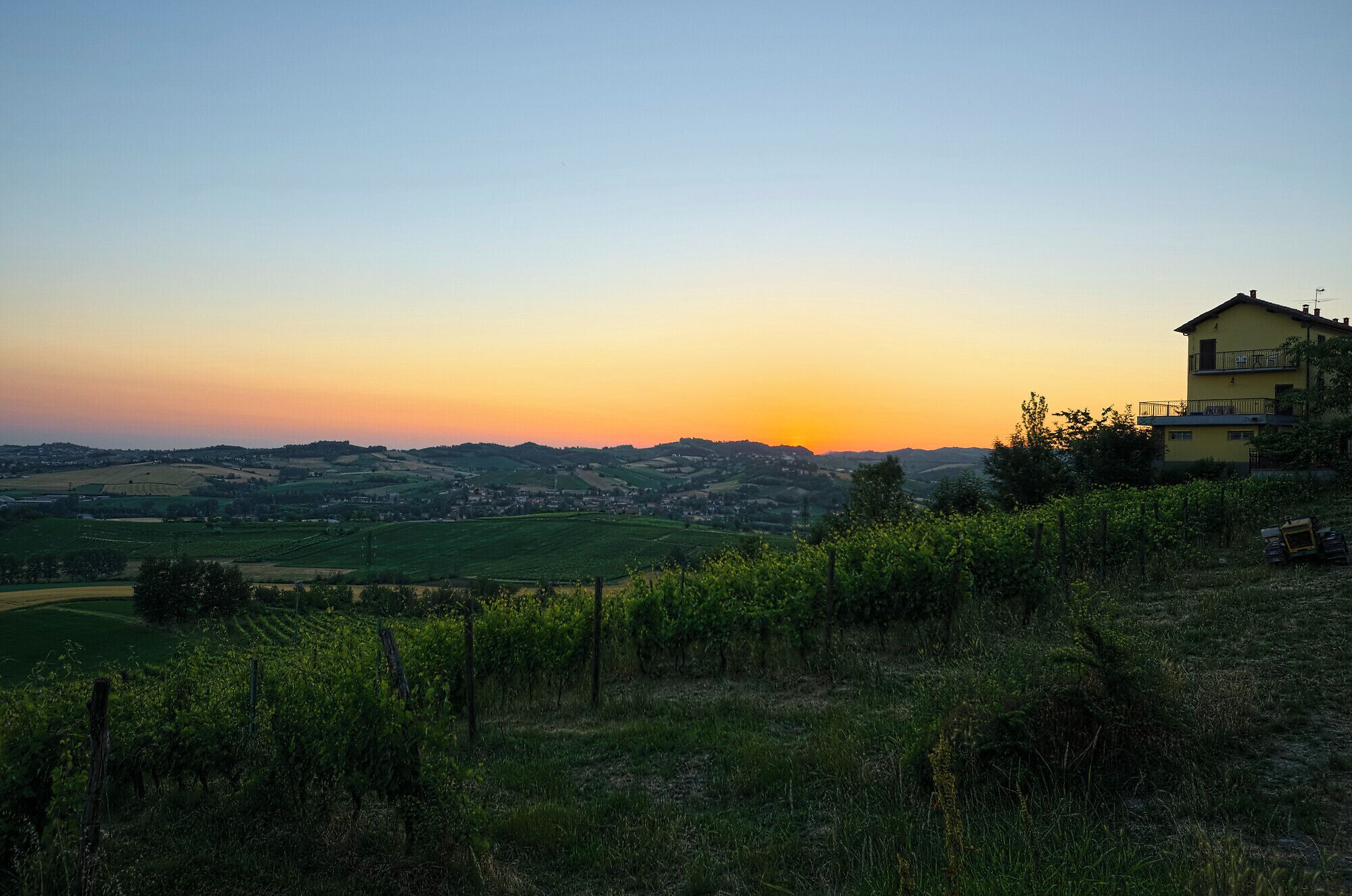 A vineyard with rows of grapevines, a yellow house with a balcony, and rolling hills in the background during sunset.