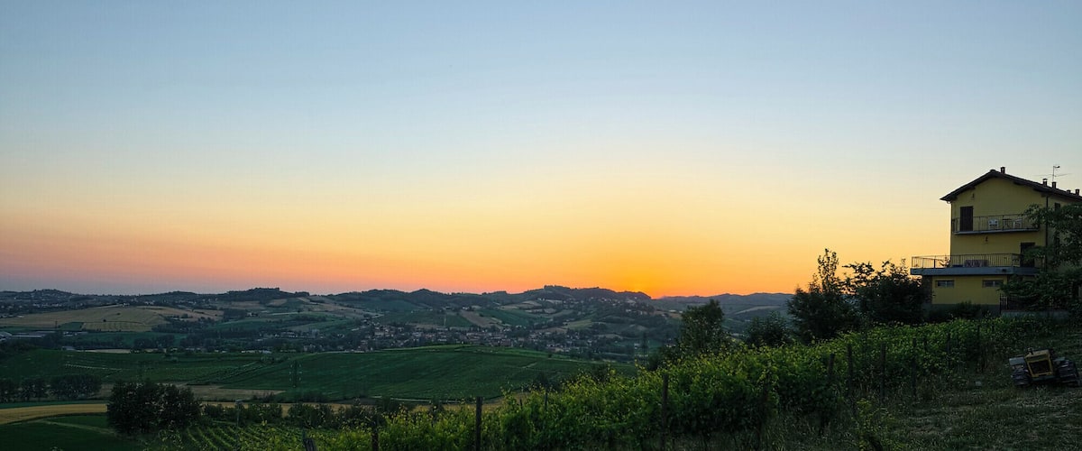 A vineyard with rows of grapevines, a yellow house with a balcony, and rolling hills in the background during sunset.