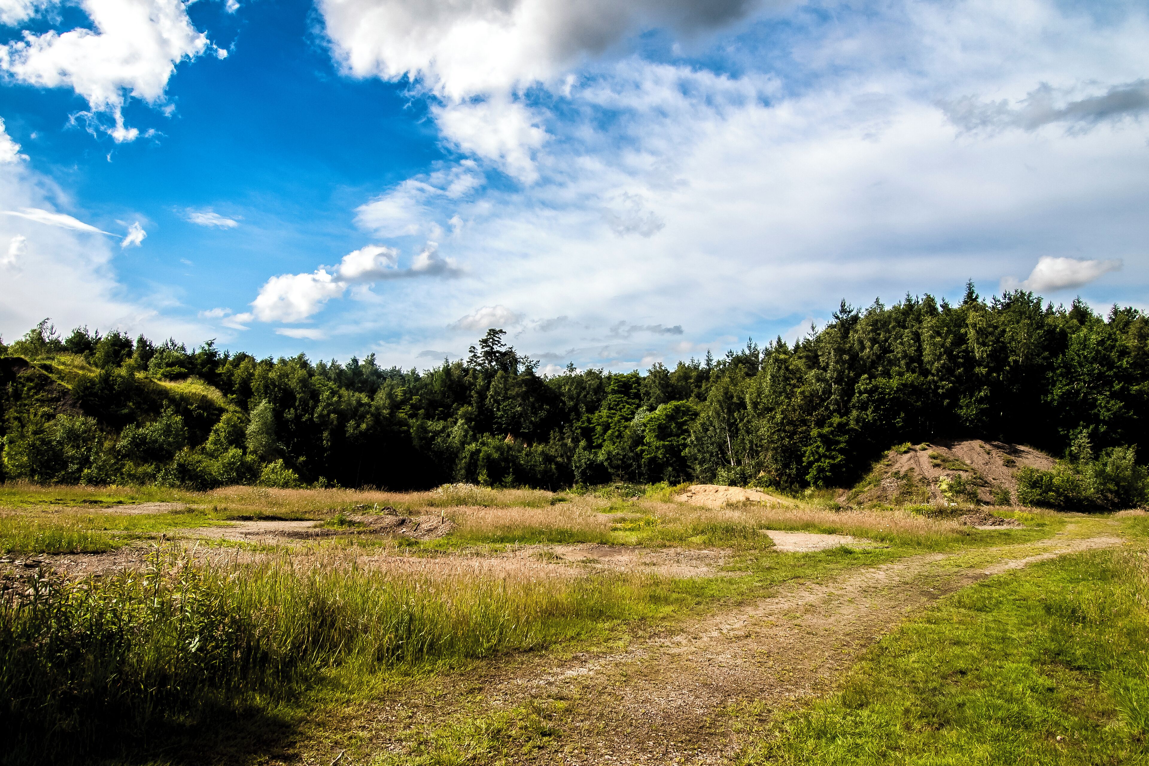 Naturschutzgebiet „Alter Steinbruch Liekwegen“ (NSG HA 212), Landkreis Schaumburg