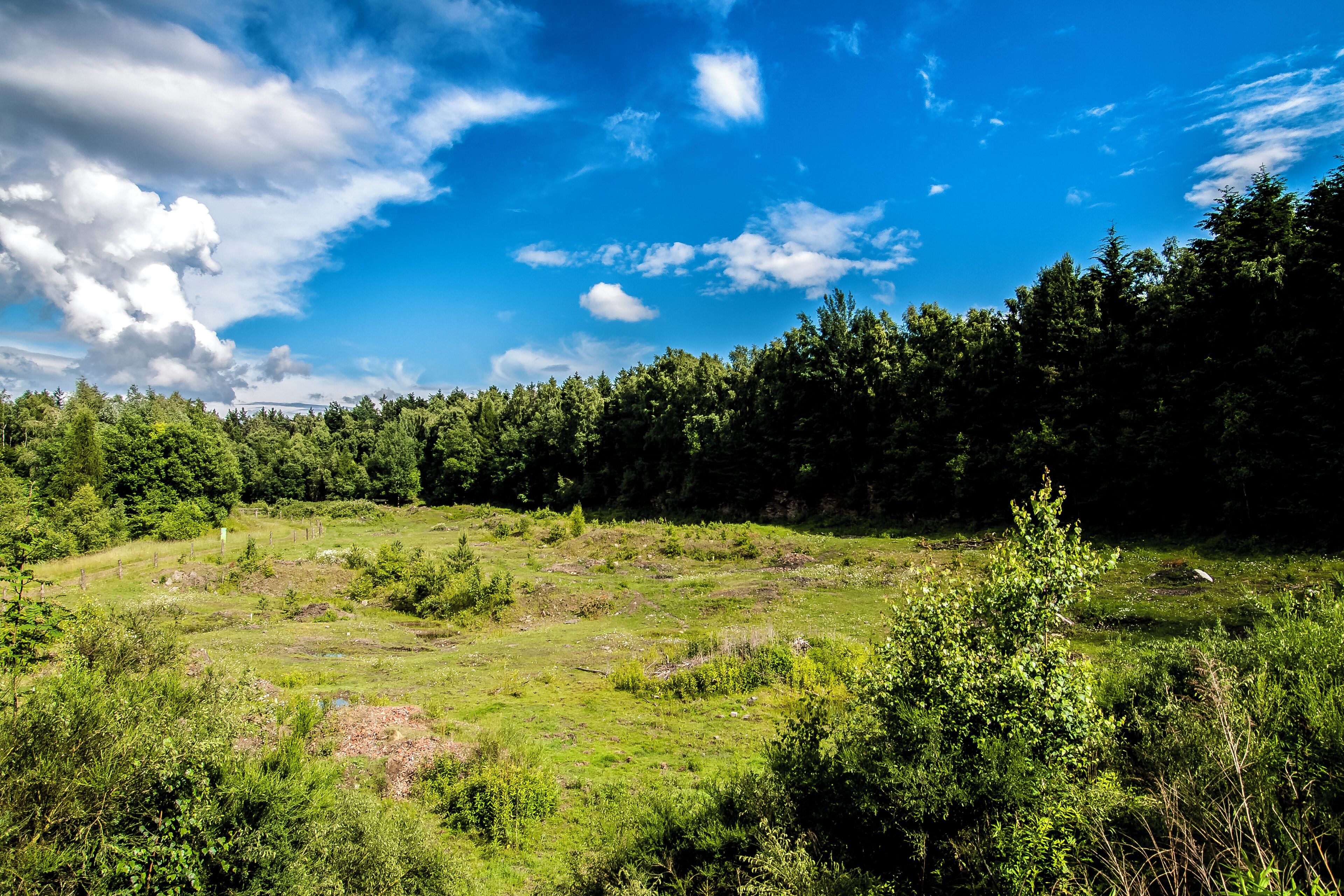 Naturschutzgebiet „Alter Steinbruch Liekwegen“ (NSG HA 212), Landkreis Schaumburg