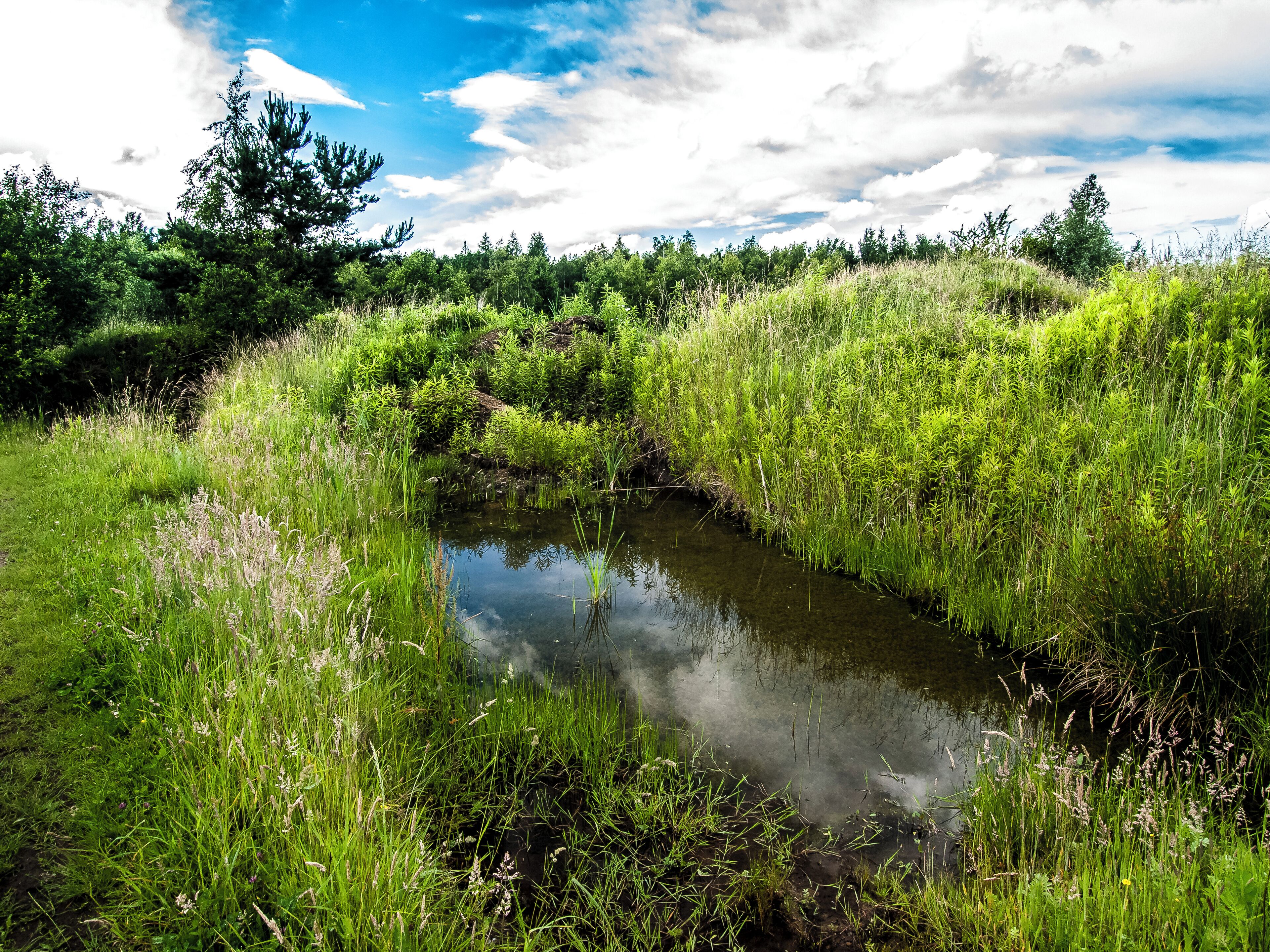 Naturschutzgebiet „Alter Steinbruch Liekwegen“ (NSG HA 212), Landkreis Schaumburg