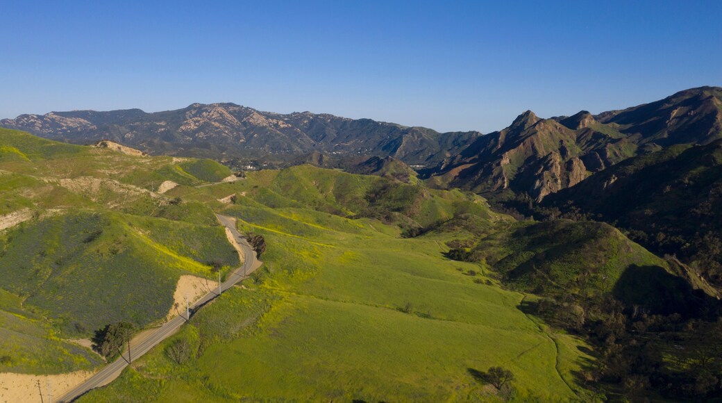 ヒドゥン ヒルズ