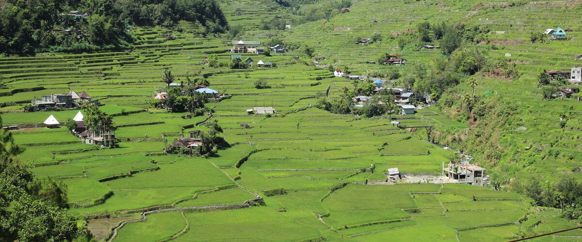 Terraced rice fields, a valley, and scattered houses.